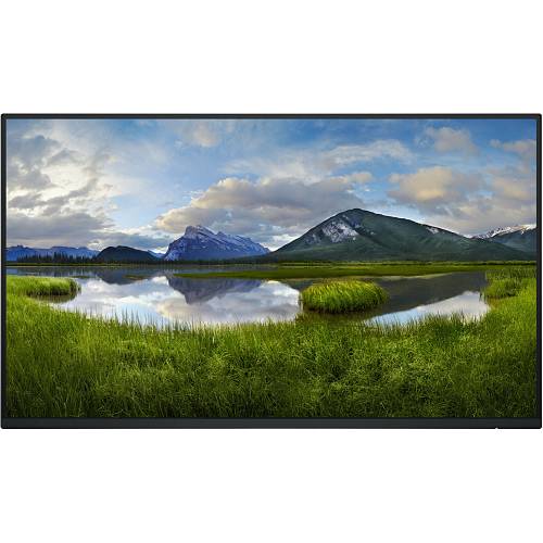 60.47cm/23.8 (1920x1080) Dell P2425H Without Stand 16:9 FHD IPS 5ms 100Hz HDMI DP VGA USB-C Black/Silver